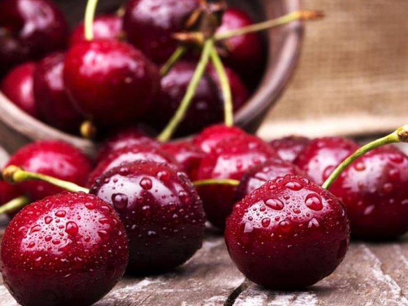 Вишня купить саженцы из питомника в Томске